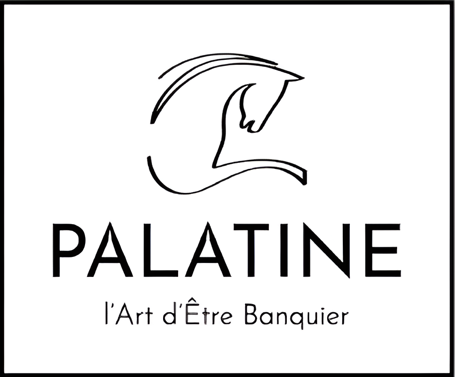 Ags Immo Gestion Locative Bordeaux LOGO PLATINE Picsart AiImageEnhancer